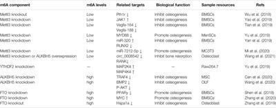 m6A Methylation Regulates Osteoblastic Differentiation and Bone Remodeling